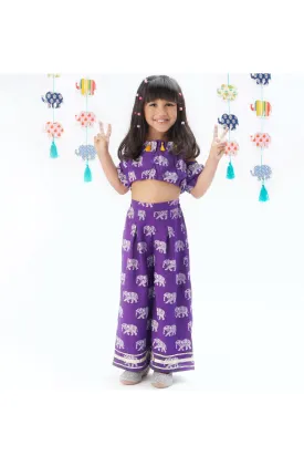 Elephant Printed And Tassels Embellished Top And Pants Set