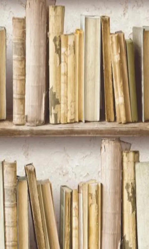 Splendour Vintage Bookshelf Wallpaper SD3504